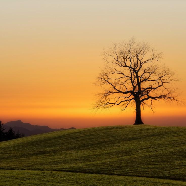 Low-impact nature route